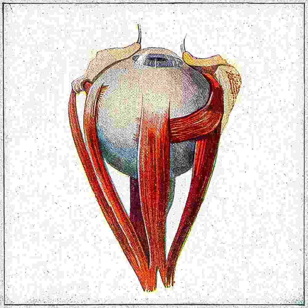 دانلود آهنگ گریه داره هیچکس