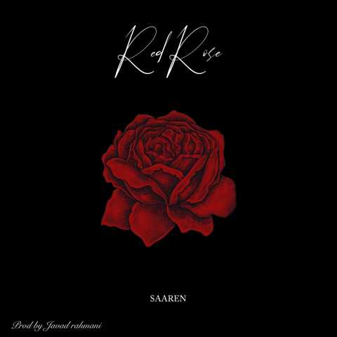 دانلود آهنگ Red Rose از Saaren
